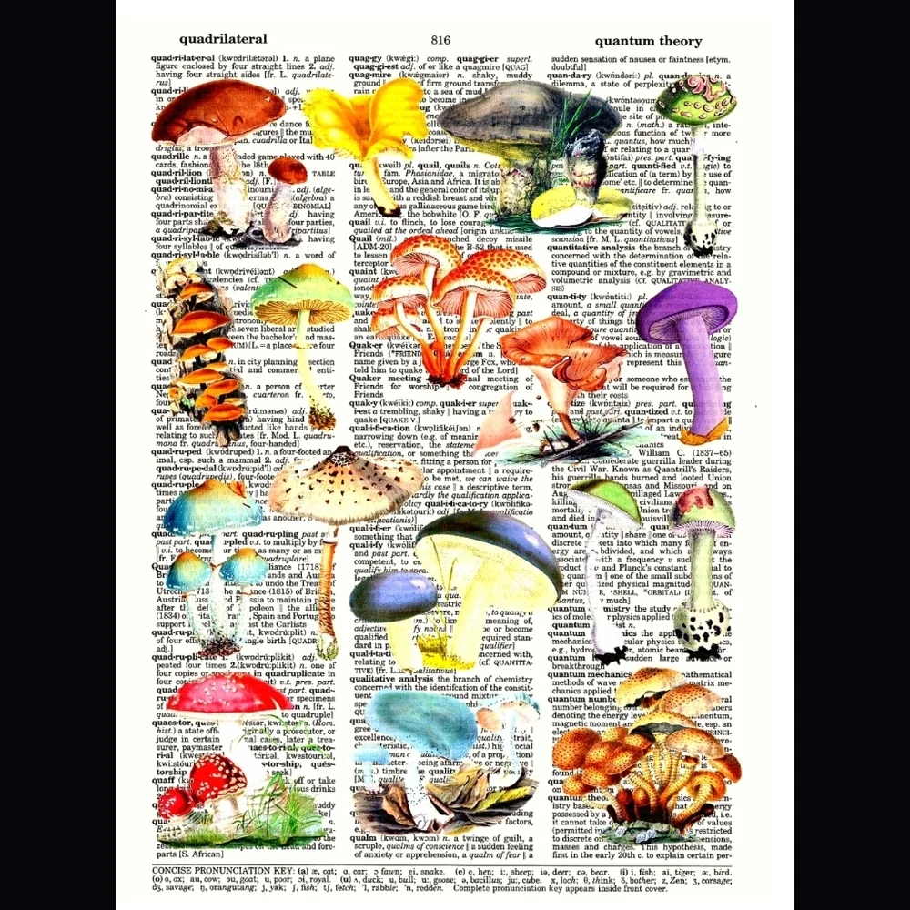 Mushroom Nature Science Dictionary Art Print